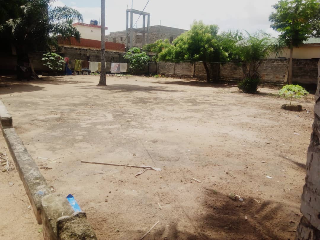 N° 4865 :
                            Terrain à vendre , Sagbado, Lomé, Togo : 11 000  000 XOF/vie