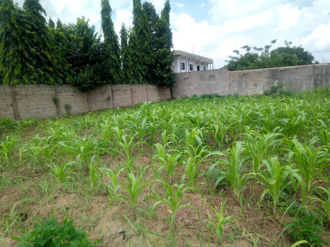 N° 4866 :
                            Terrain à vendre , Agoe, Lome, Togo : 17 000  000 XOF/vie