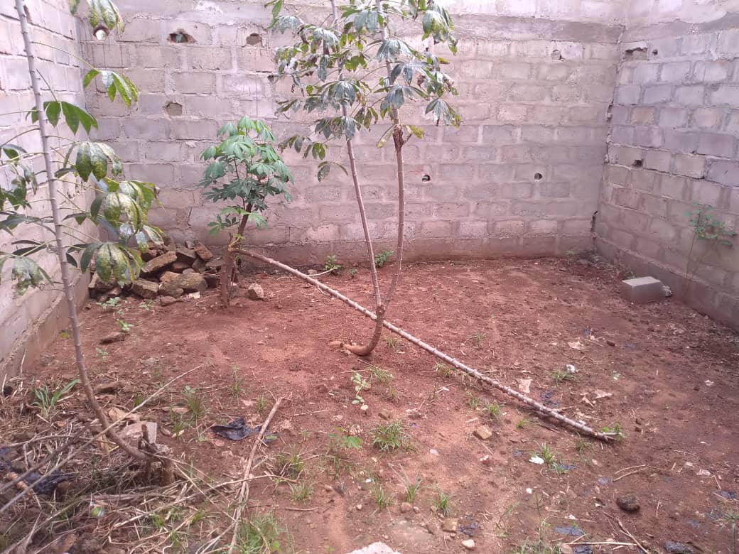 N° 4878 :
                            Maison à vendre , Agoe, Lome, Togo : 25 000  000 XOF/vie