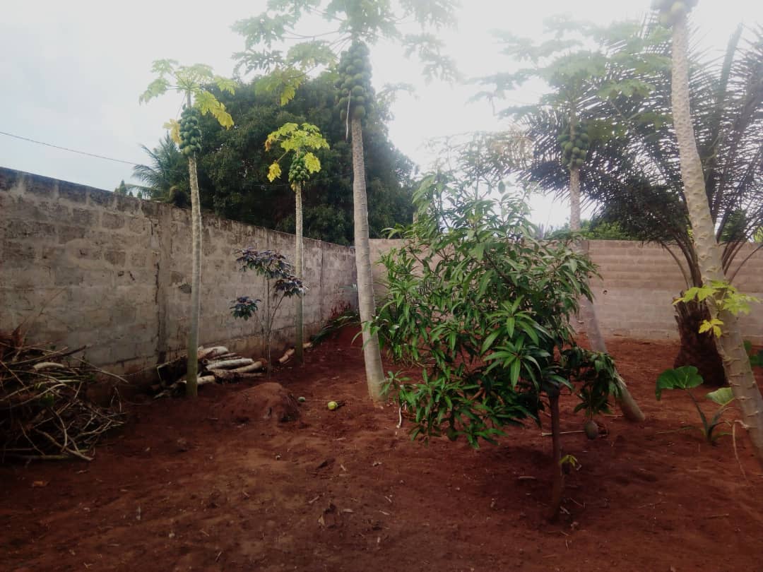 N° 4879 :
                            Terrain à vendre , Adidogome, Lome, Togo : 8 000  000 XOF/vie