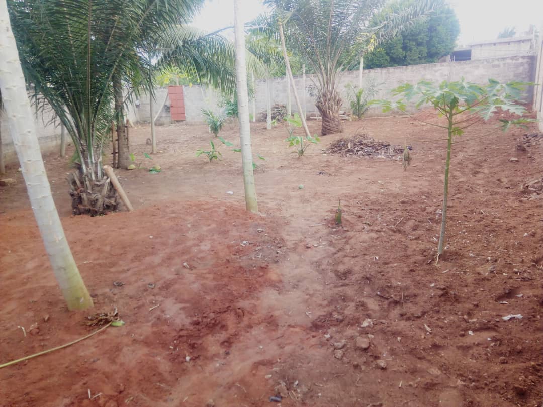 N° 4879 :
                            Terrain à vendre , Adidogome, Lome, Togo : 8 000  000 XOF/vie
