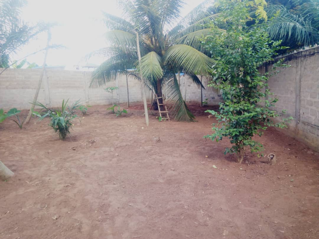 N° 4879 :
                            Terrain à vendre , Adidogome, Lome, Togo : 8 000  000 XOF/vie