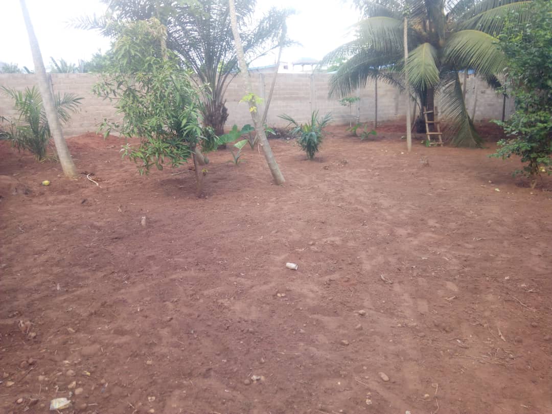 N° 4879 :
                            Terrain à vendre , Adidogome, Lome, Togo : 8 000  000 XOF/vie