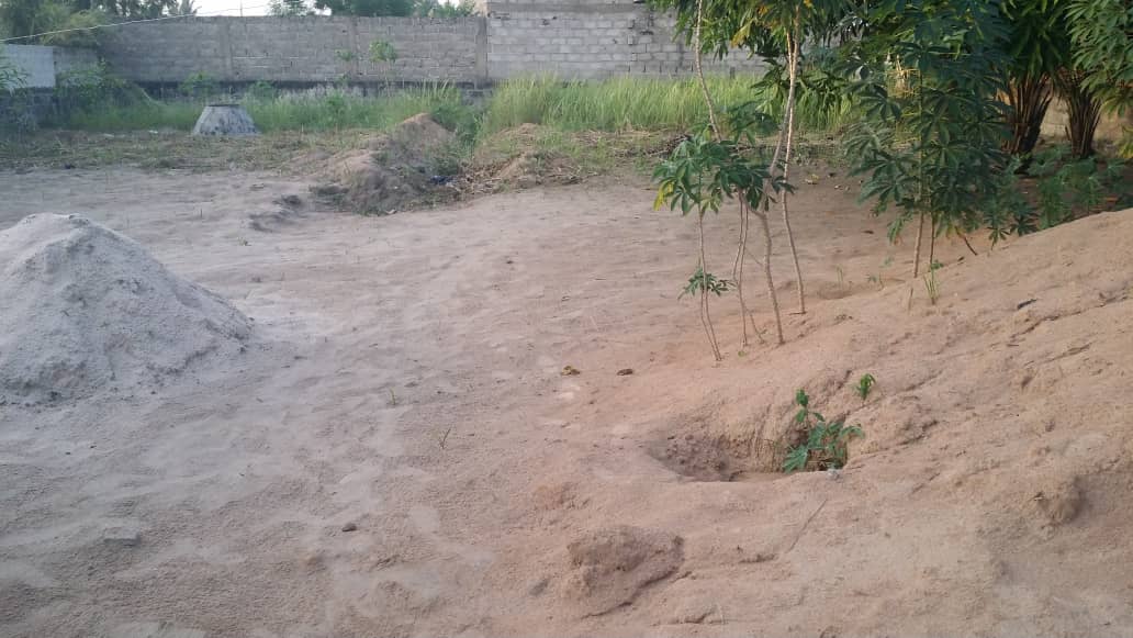 N° 4896 :
                            Terrain à vendre , Zanguera, Lome, Togo : 8 000  000 XOF/vie