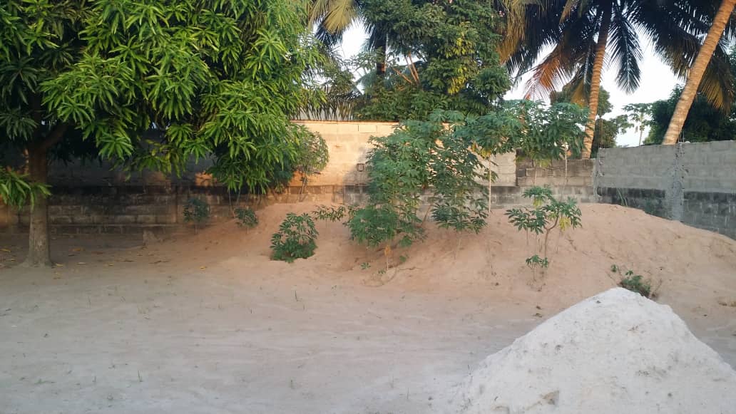 N° 4896 :
                            Terrain à vendre , Zanguera, Lome, Togo : 8 000  000 XOF/vie
