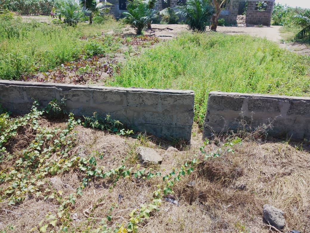 N° 4897 :
                            Terrain à vendre , Kpogan, Lomé, Togo : 40 000  000 XOF/vie