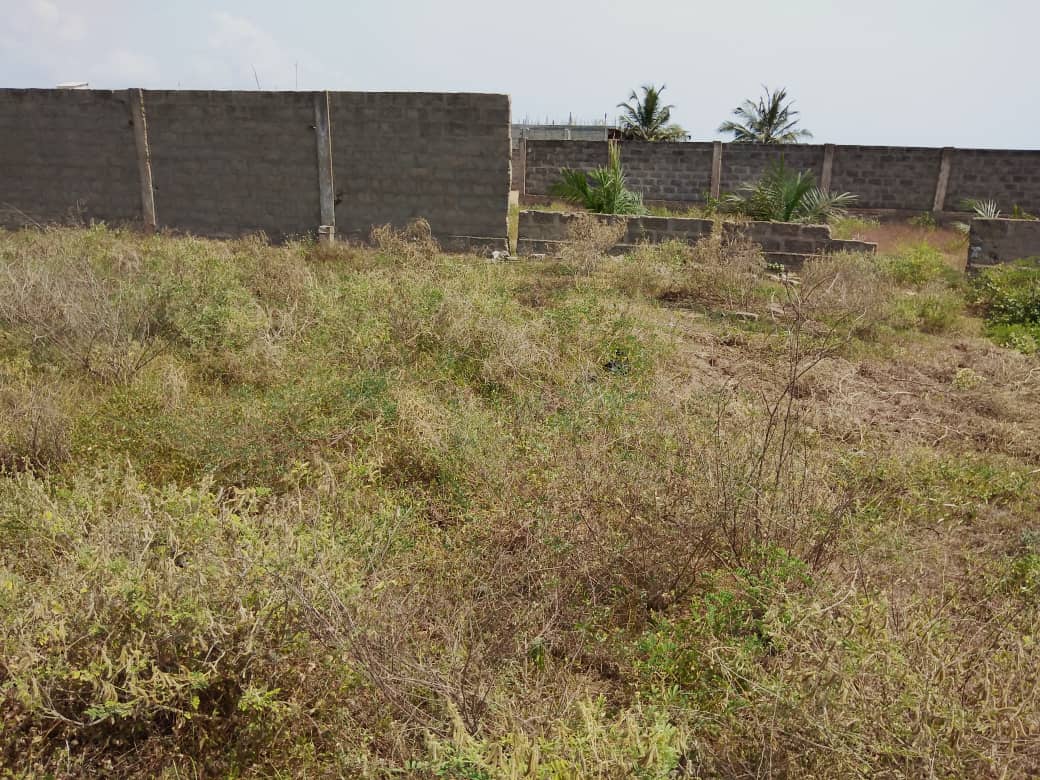 N° 4897 :
                            Terrain à vendre , Kpogan, Lomé, Togo : 40 000  000 XOF/vie
