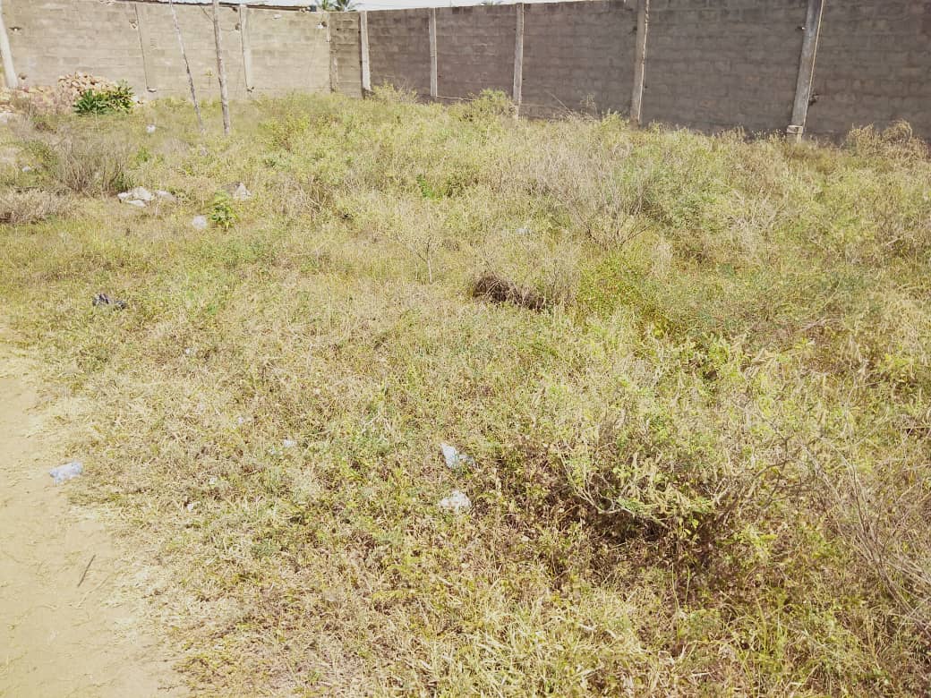 N° 4897 :
                            Terrain à vendre , Kpogan, Lomé, Togo : 40 000  000 XOF/vie