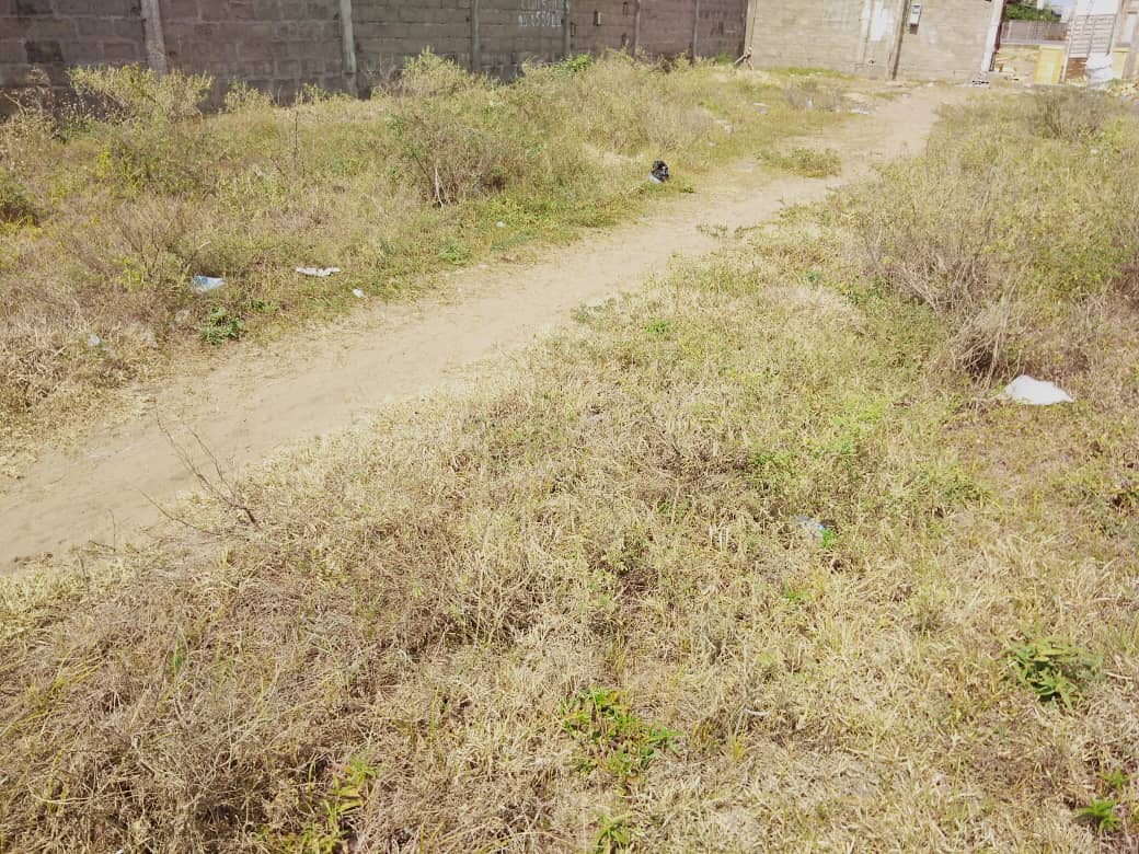 N° 4897 :
                            Terrain à vendre , Kpogan, Lomé, Togo : 40 000  000 XOF/vie
