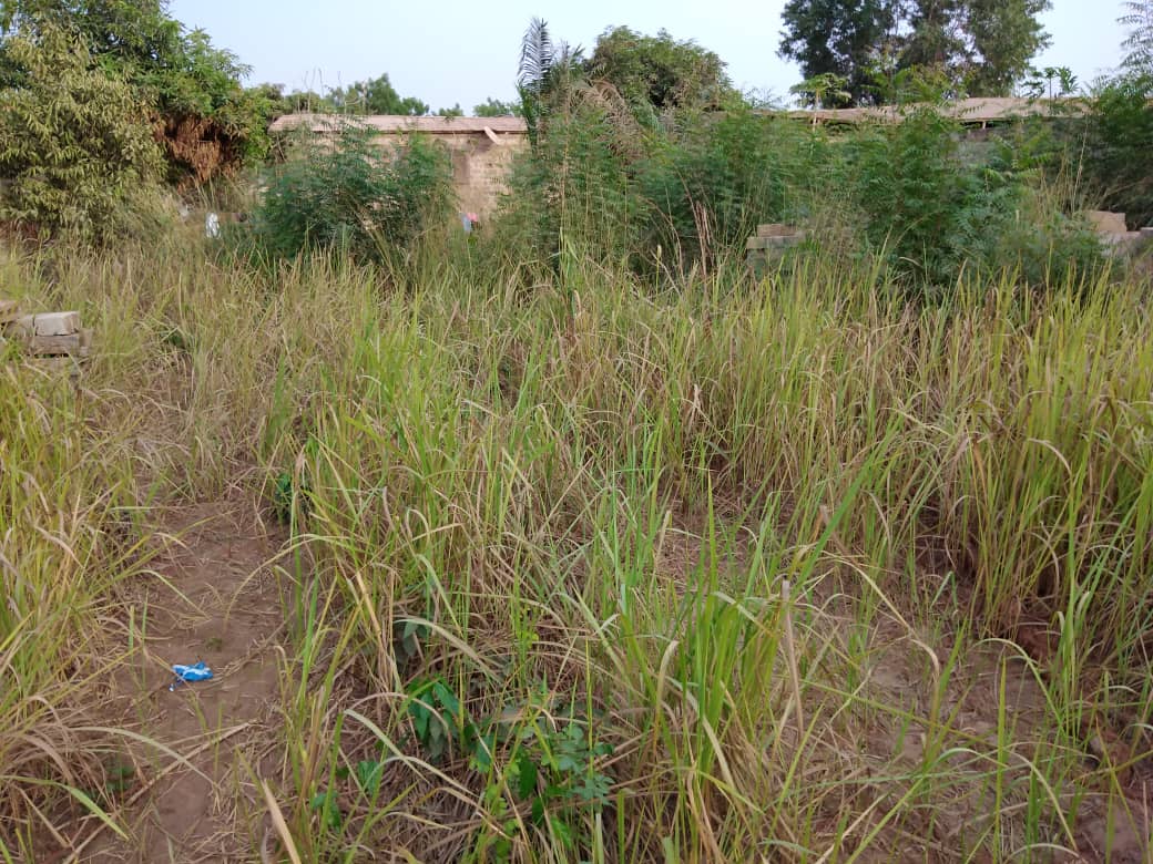 N° 4911 :
                            Terrain à vendre , Amadahome, Lomé, Togo : 23 000  000 XOF/vie