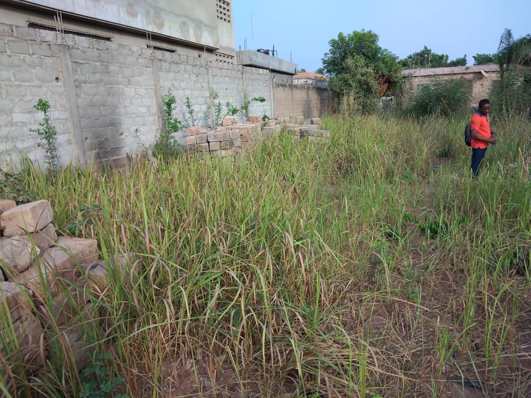 N° 4911 :
                            Terrain à vendre , Amadahome, Lomé, Togo : 23 000  000 XOF/vie
