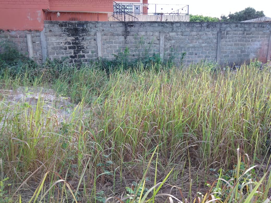 N° 4911 :
                            Terrain à vendre , Amadahome, Lomé, Togo : 23 000  000 XOF/vie