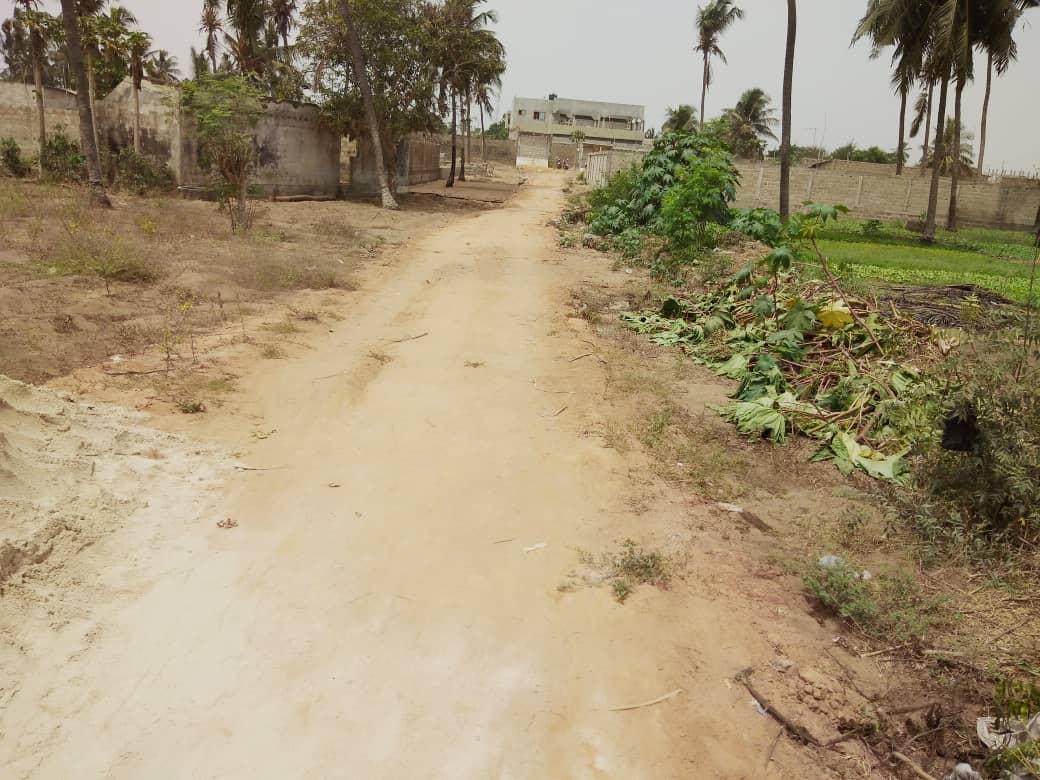 N° 4913 :
                            Terrain à vendre , Avepozo, Lome, Togo : 10 000  000 XOF/vie
