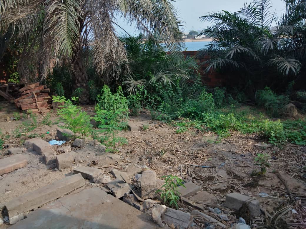 N° 4914 :
                            Terrain à bailler , Afanme, Lome, Togo : 2 500  000 XOF/vie
