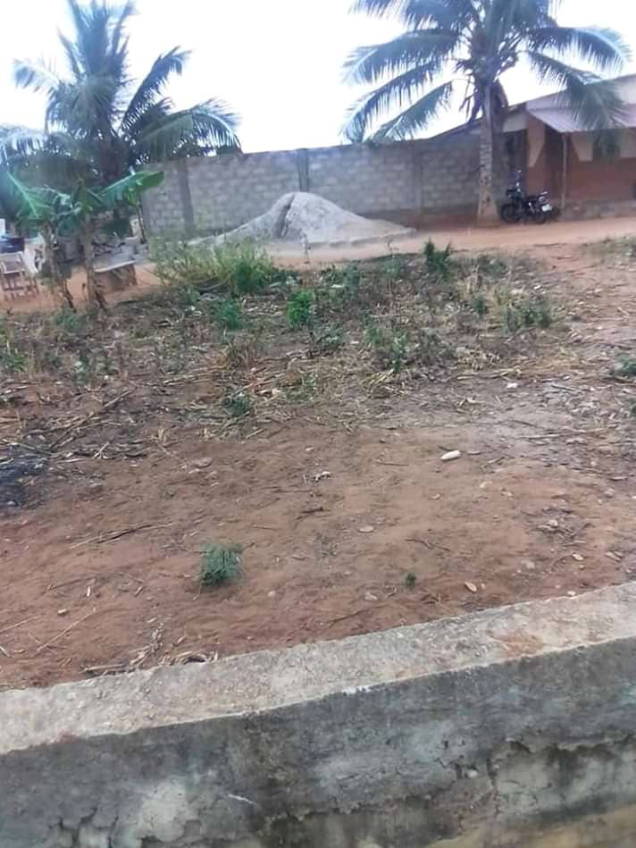 N° 5062 :
                            Terrain à vendre , Zanguera , Lome, Togo : 7 000  000 XOF/vie