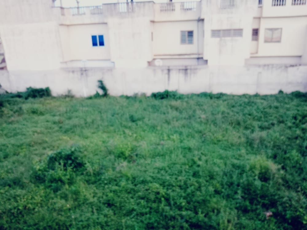 N° 5065 :
                            Terrain à vendre , Leo2000, Lome, Togo : 35 000  000 XOF/vie