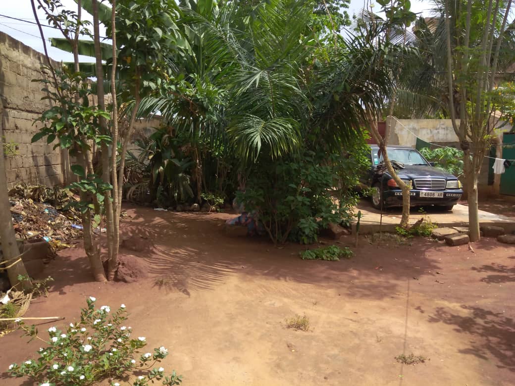 N° 5085 :
                            Terrain à vendre , Djidjole , Lome, Togo : 40 000  000 XOF/vie