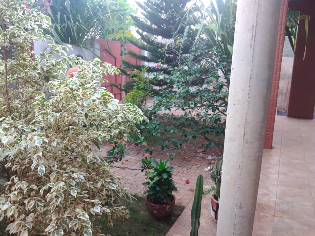 N° 5123 :
                            Villa meublée à louer , Zanguera, Lome, Togo : 250 000 XOF/mois