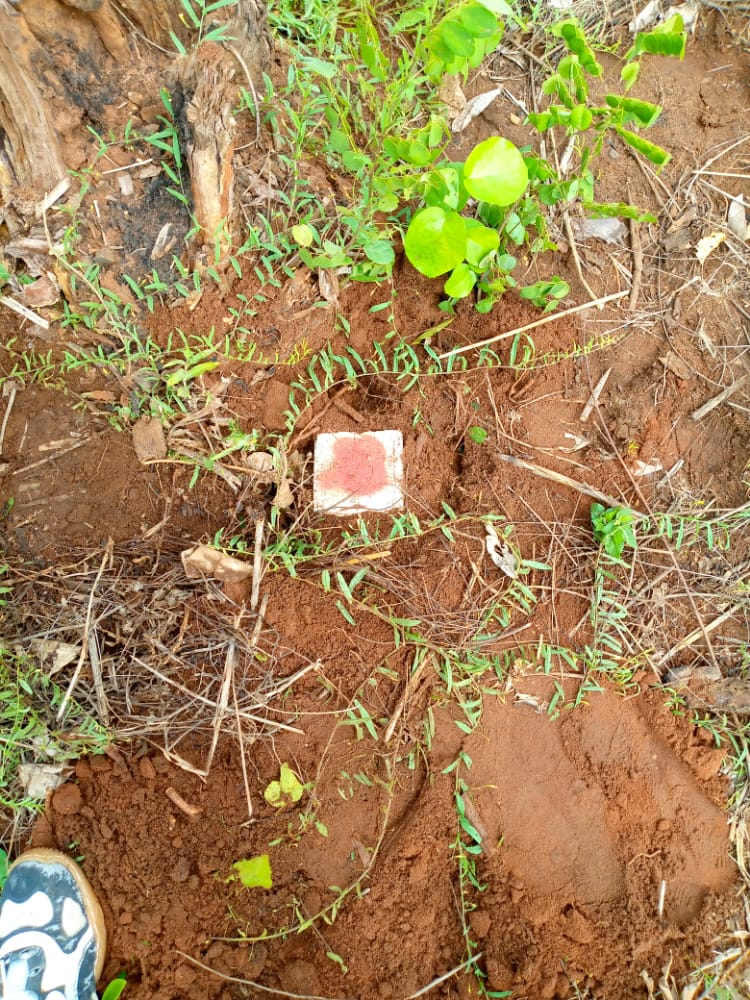 N° 5125 :
                            Terrain à vendre , Davie , Tsevie, Togo : 4 500  000 XOF/vie