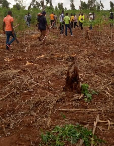 N° 5125 :
                            Terrain à vendre , Davie , Tsevie, Togo : 4 500  000 XOF/vie