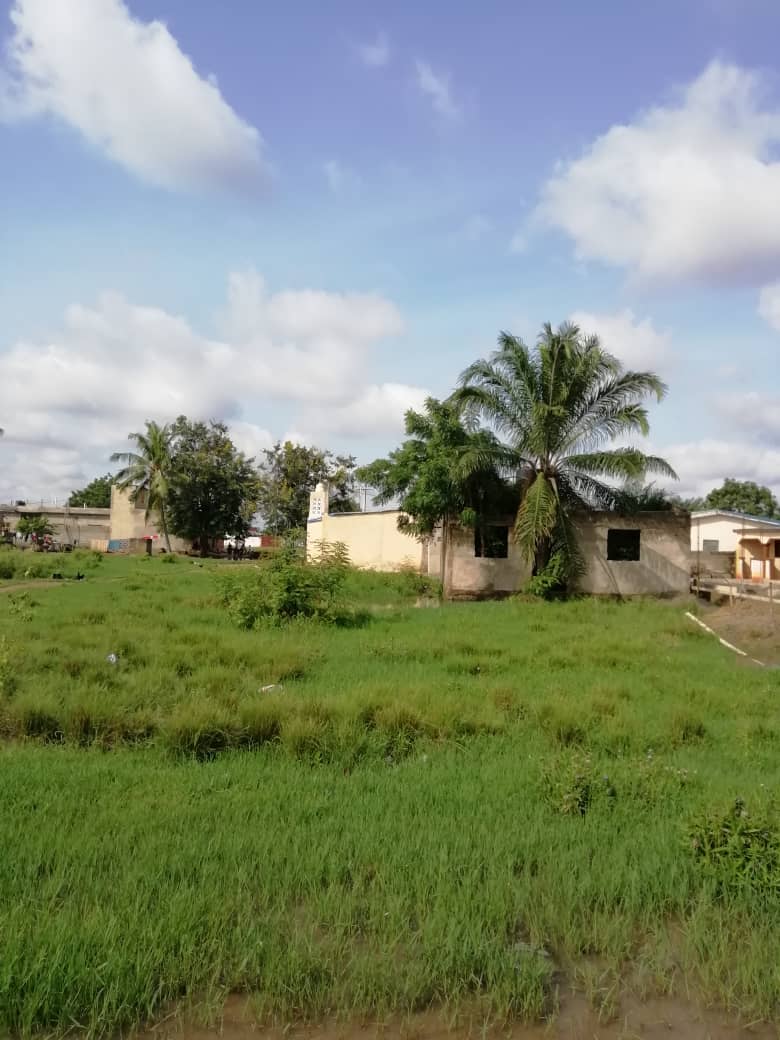 N° 5139 :
                            Terrain à vendre , Agoe togble, Lome, Togo : 6 500  000 XOF/vie