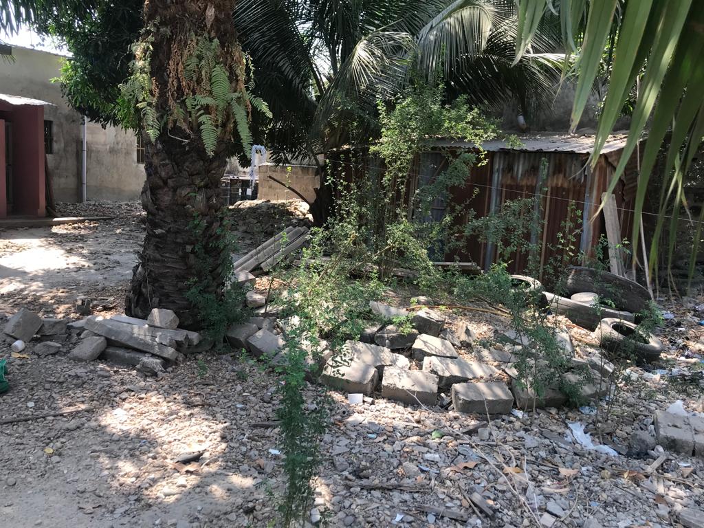 N° 5294 :
                            Terrain à vendre , Agbalepedo, Lome, Togo : 37 000  000 XOF/vie