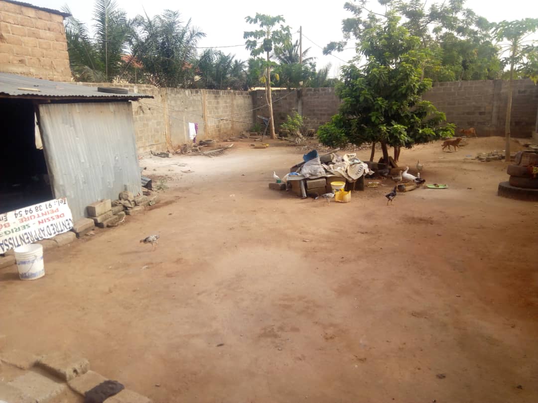 N° 4494 :
                            Maison à vendre , Amadahome, Lome, Togo : 32 000  000 XOF/vie