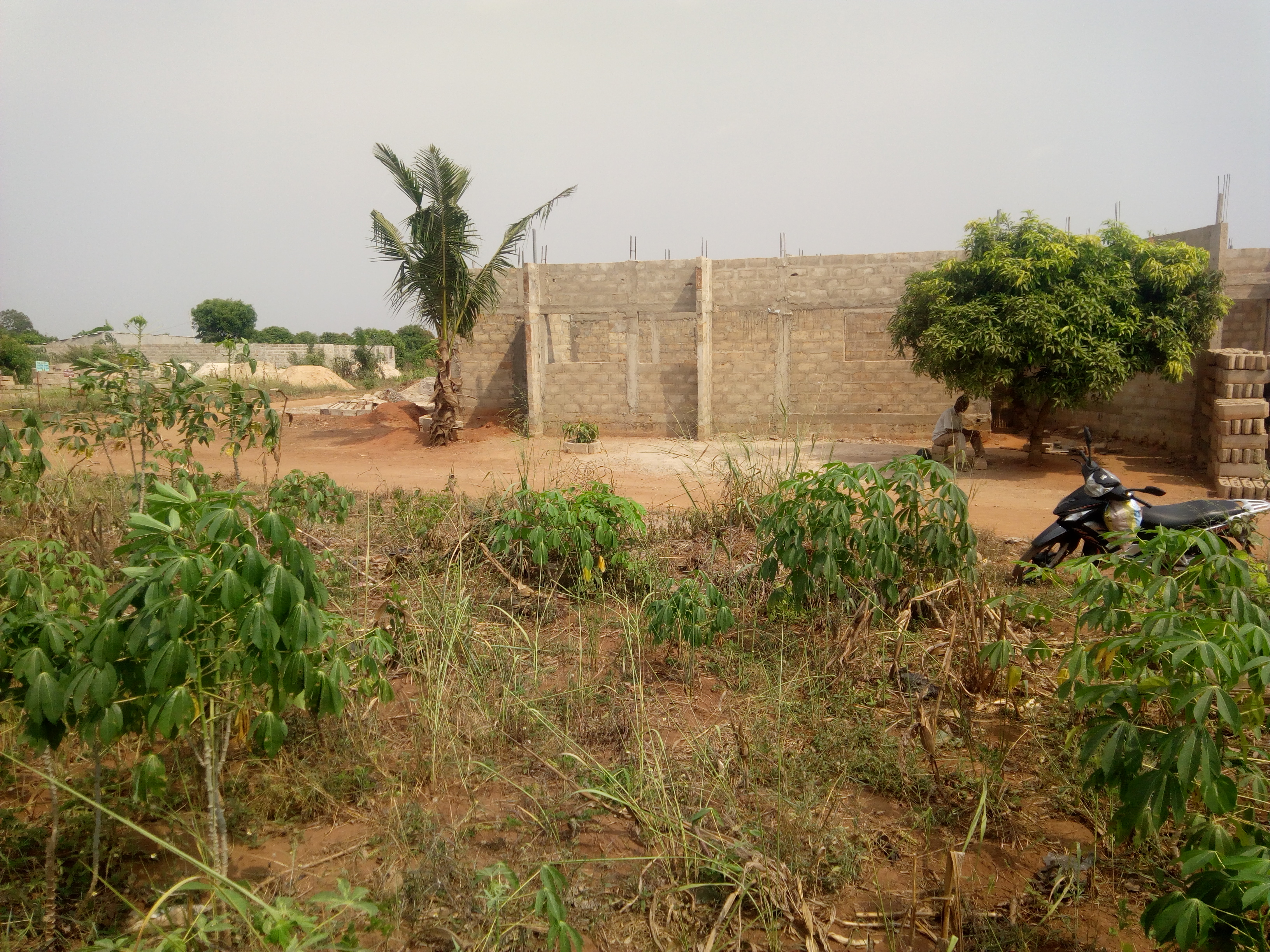 N° 4440 :
                            Terrain à vendre , Zanguera, Lome, Togo : 2 800  000 XOF/vie
