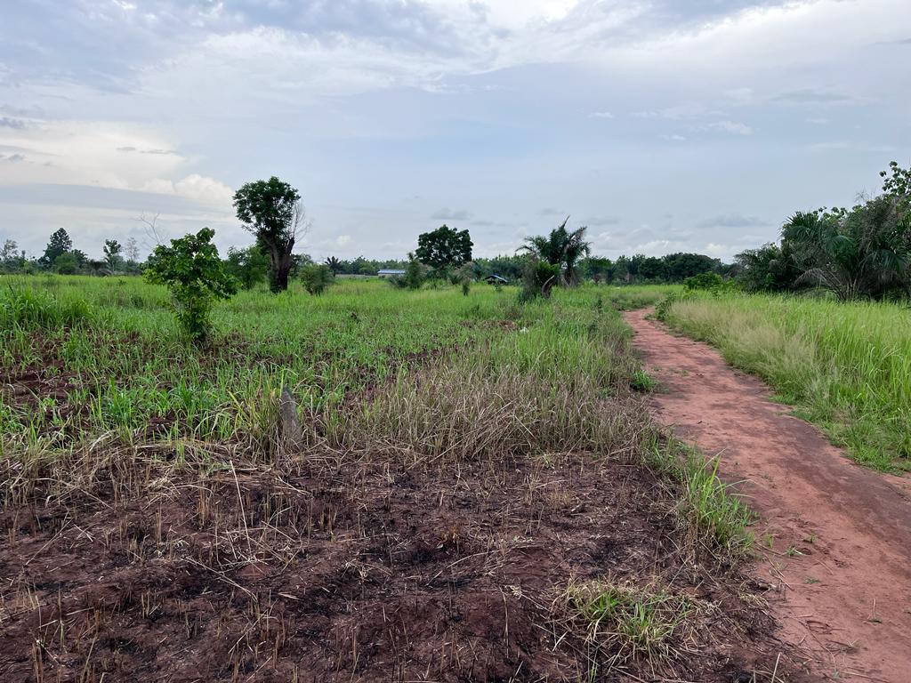 N° 5329 :
                            Terrain à vendre , Davie, Lome, Togo : 1 000  000 XOF/vie