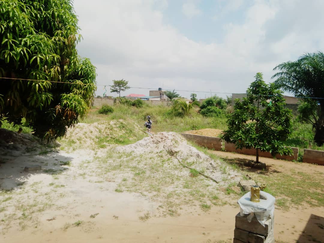 N° 4381 :
                            Terrain à vendre , Zanguera , Lome, Togo : 7 500  000 XOF/vie