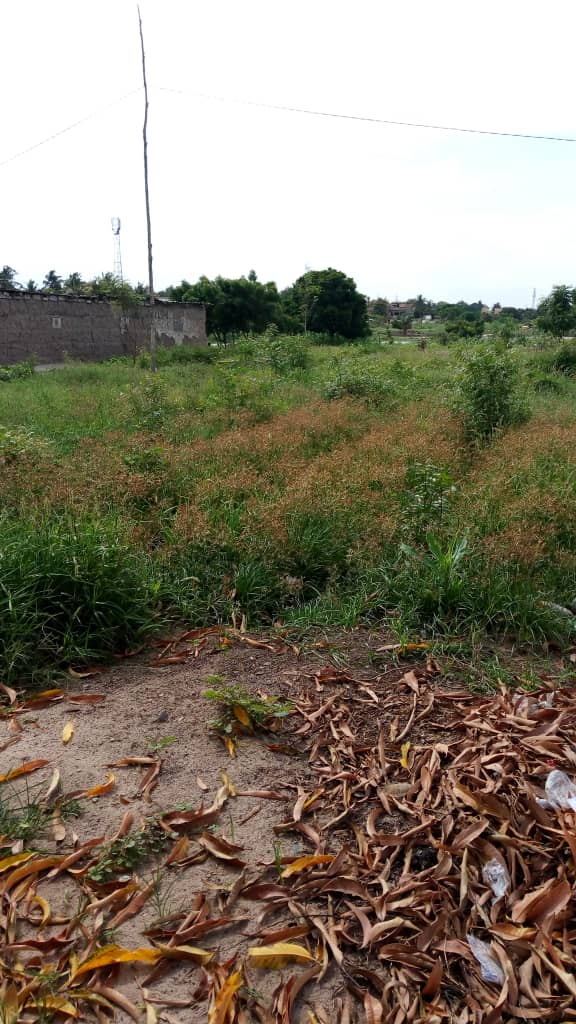 N° 4570 :
                            Terrain à vendre , Klikame, Lome, Togo : 16 000  000 XOF/vie