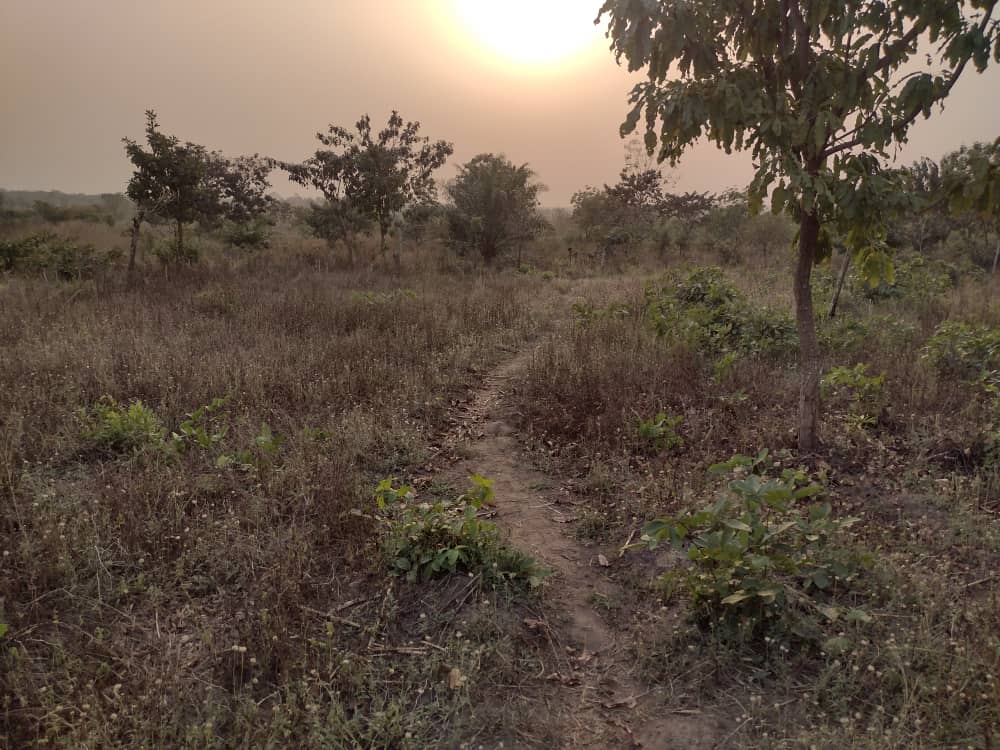 N° 5439 :
                            Terrain à vendre , Agbelouve, Lome, Togo : 2 800  000 XOF/vie