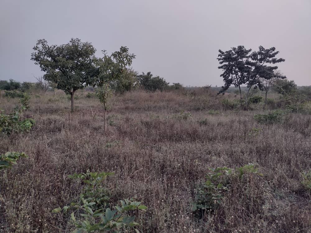 N° 5439 :
                            Terrain à vendre , Agbelouve, Lome, Togo : 2 800  000 XOF/vie
