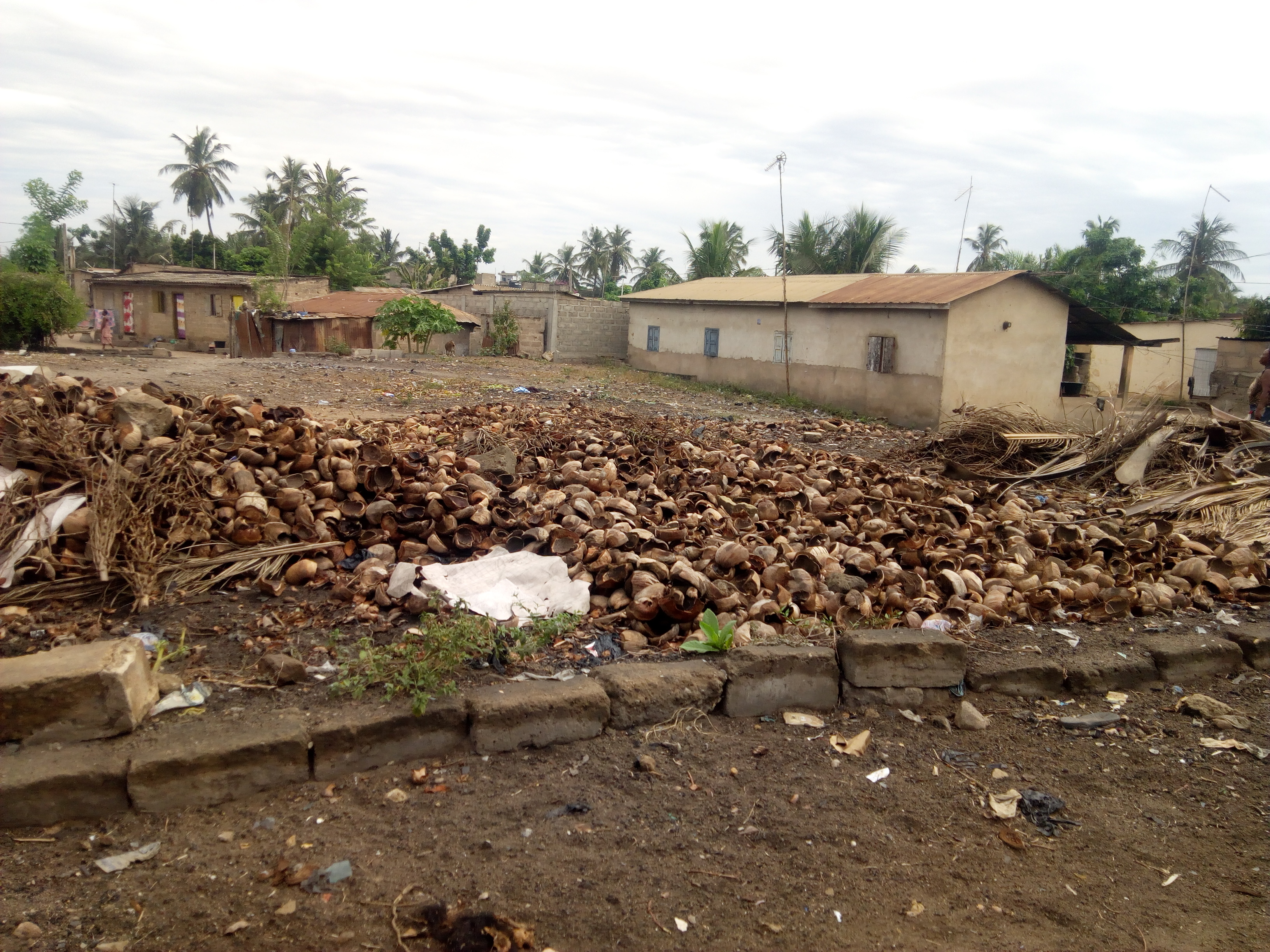 N° 4441 :
                            Terrain à vendre , Adidogome-soviepe, Lome, Togo : 7 000  000 XOF/vie
