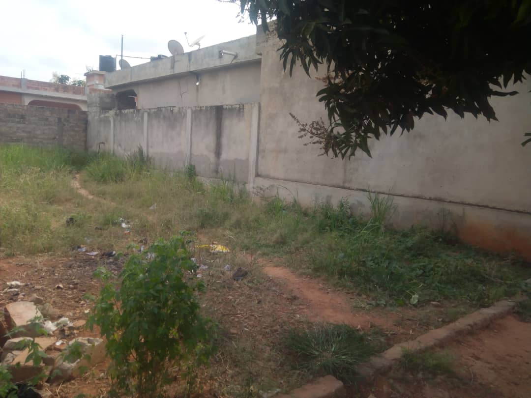 N° 4769 :
                            Terrain à louer , Segbe klegome, Lome, Togo : 2 500  000 XOF/mois
