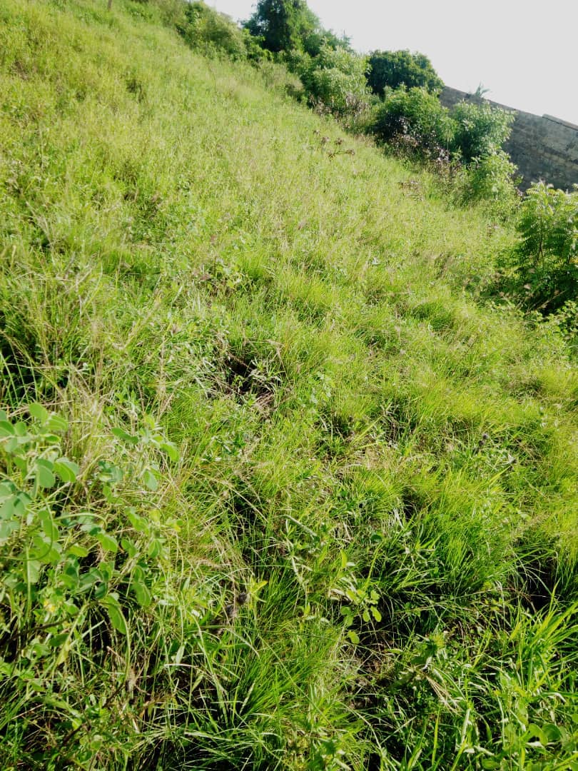 N° 4378 :
                            Terrain à vendre , Agoe-djikame, Lome, Togo : 20 000  000 XOF/vie