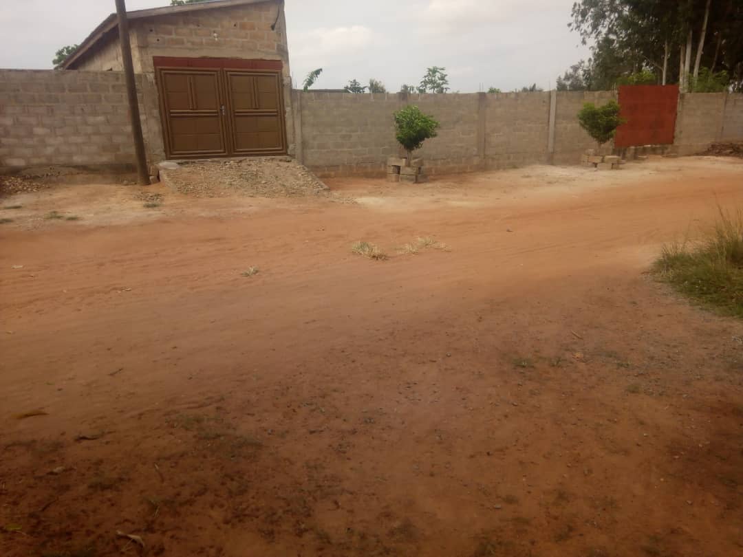 N° 4769 :
                            Terrain à louer , Segbe klegome, Lome, Togo : 2 500  000 XOF/mois
