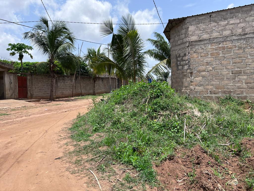 N° 5317 :
                            Terrain à vendre , Adetikope, Lome, Togo : 3 500  000 XOF/vie