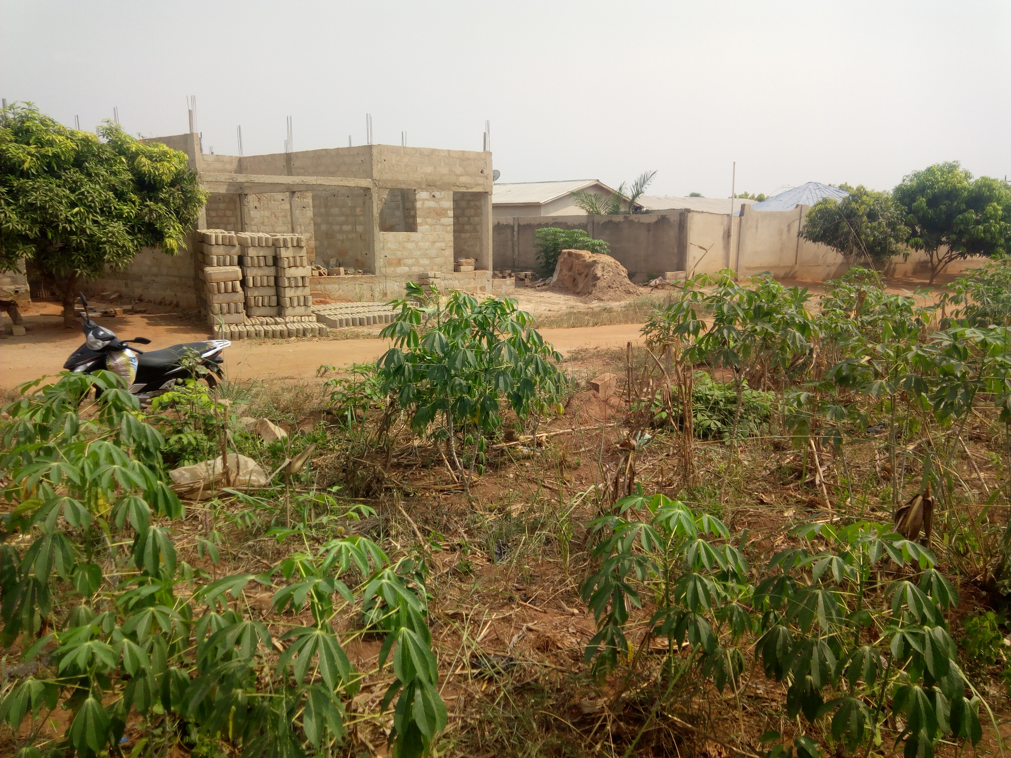N° 4440 :
                            Terrain à vendre , Zanguera, Lome, Togo : 2 800  000 XOF/vie