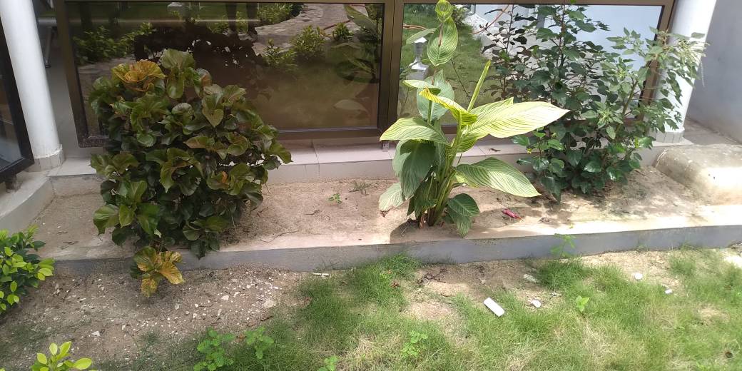 N° 4393 :
                            Villa meublée à louer , Adidogome, Lome, Togo : 450 000 XOF/mois