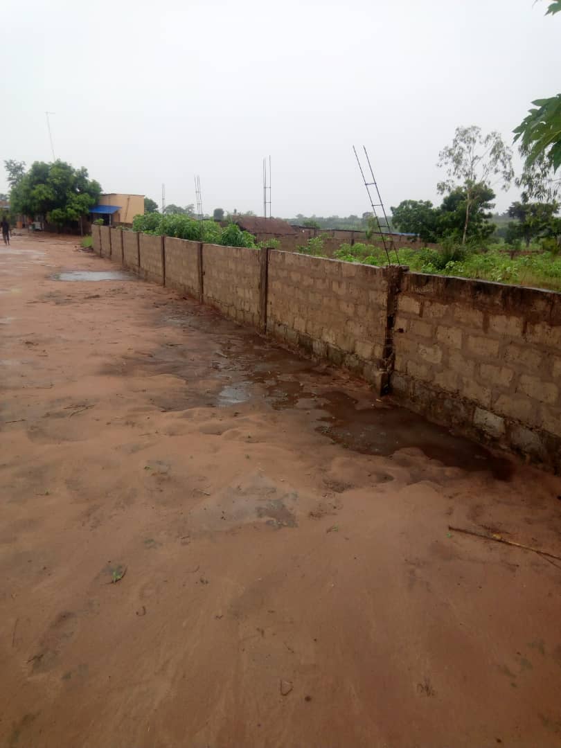 N° 4585 :
                            Terrain à vendre , Zanguera akepedo, Lomé, Togo : 6 500  000 XOF/vie