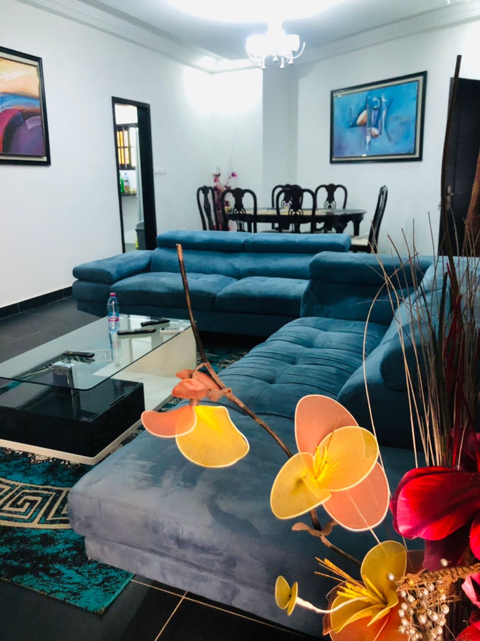 N° 5190 :
                            Appartement meublé à louer , Adidogome la pampar, Lome, Togo : 700 000 XOF/mois