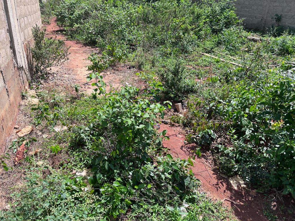 N° 5315 :
                            Terrain à vendre , Djagble, Lome, Togo : 3 500  000 XOF/vie