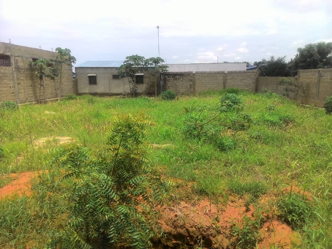 N° 4567 :
                            Terrain à vendre , Agoe, Lome, Togo : 11 000  000 XOF/vie