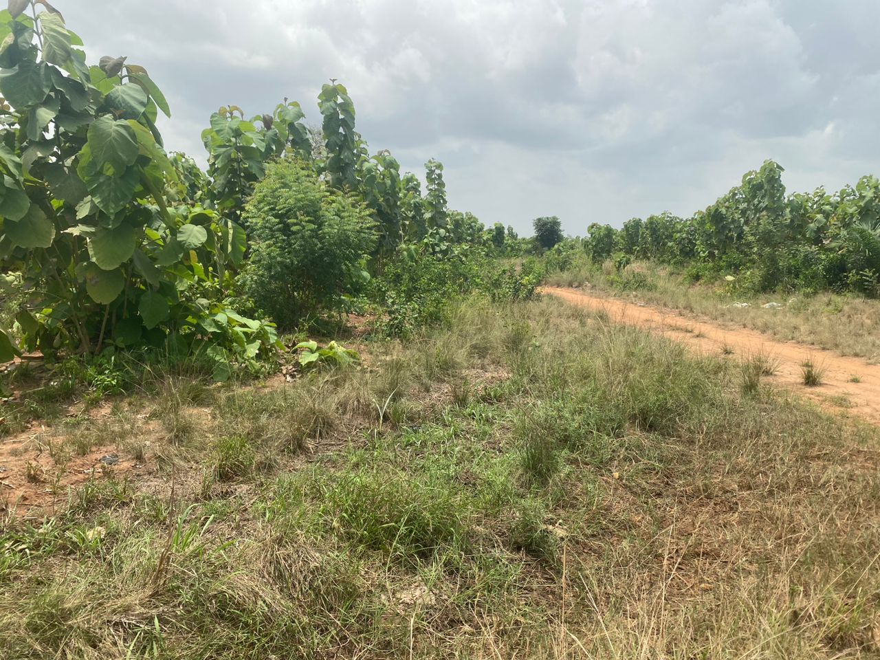 Terrain à vendre , Lome, akepedo