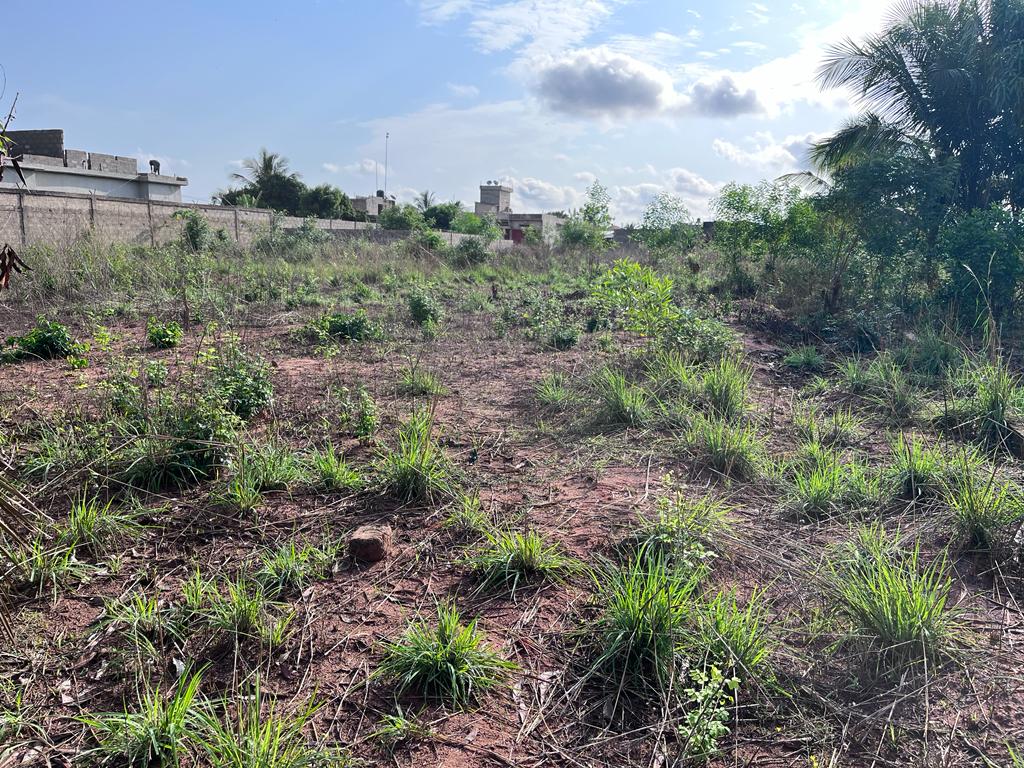 N° 5302 :
                            Terrain à vendre , Adidogome, Lome, Togo : 16 000  000 XOF/vie