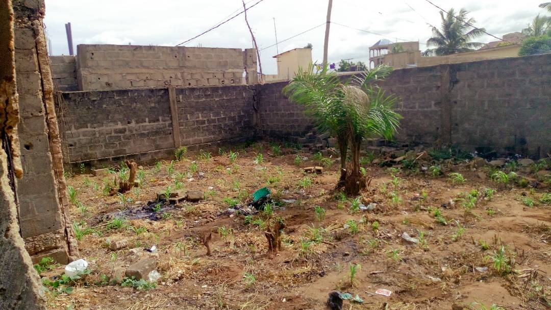 N° 4149 :
                            Maison à vendre , Amadahome, Lome, Togo : 20 000  000 XOF/vie