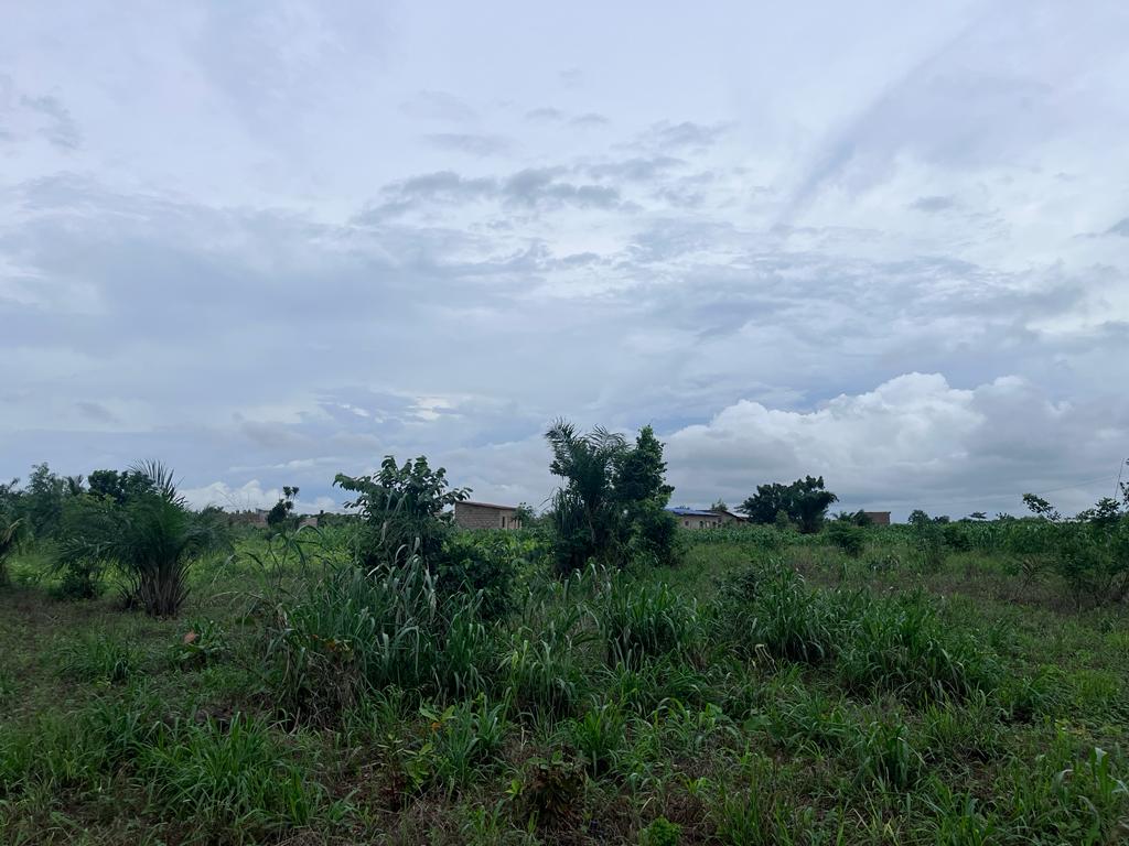 N° 5382 :
                            Terrain à vendre , Akepe, Lome, Togo : 5 500  000 XOF/vie