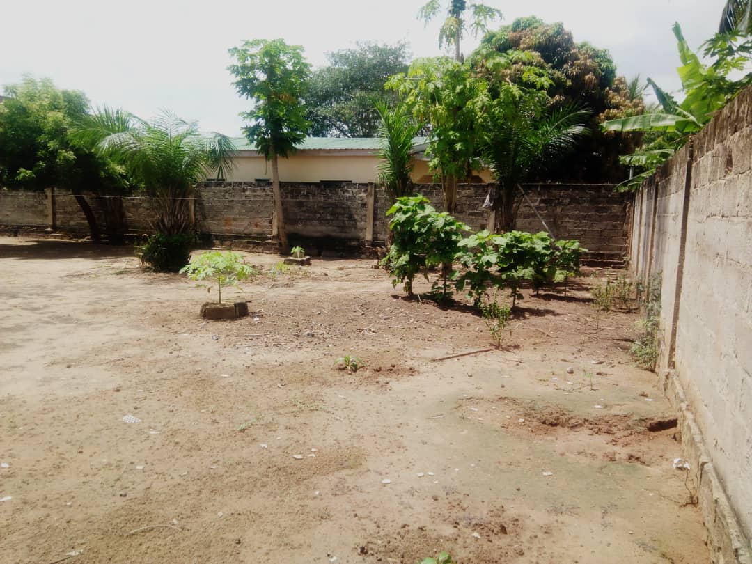 N° 5134 :
                            Terrain à bailler , Sagbado, Lome, Togo : 75 000 XOF/vie
